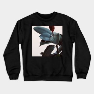 Night Ficus #1 Crewneck Sweatshirt